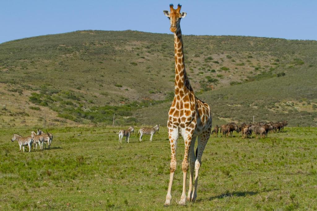 Brandwag Nyaru Game Lodge מראה חיצוני תמונה